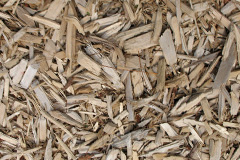 biomass boilers Cottonworth