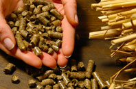 free Cottonworth biomass boiler quotes